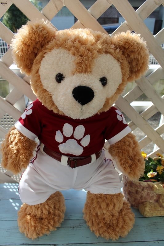 画像2: 各種スポーツ (2)