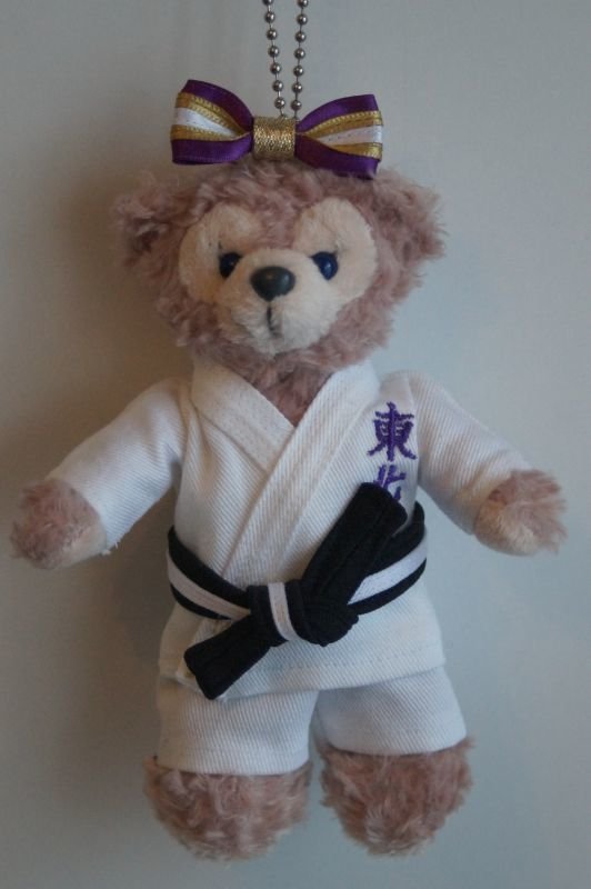 画像3: 剣道・柔道・空手 (3)