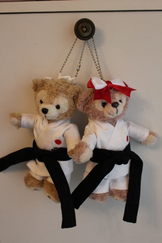 画像9: 剣道・柔道・空手 (9)