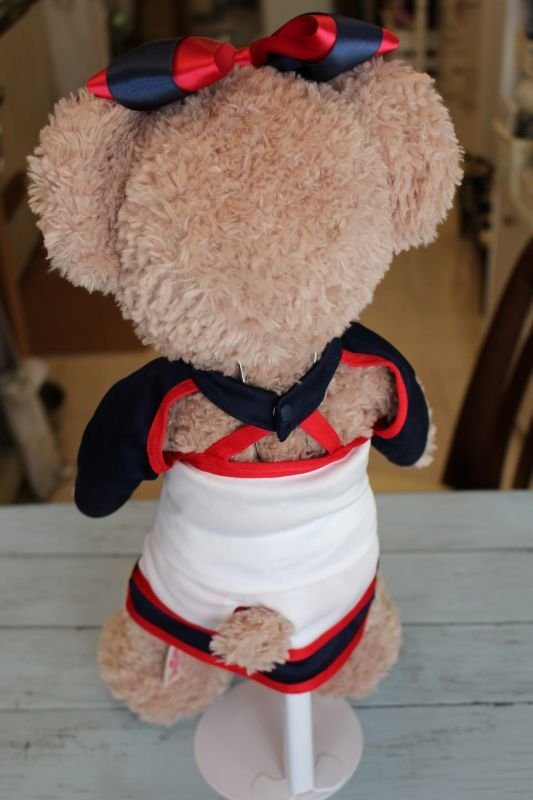 画像11: チア(USA・ダンス） (11)