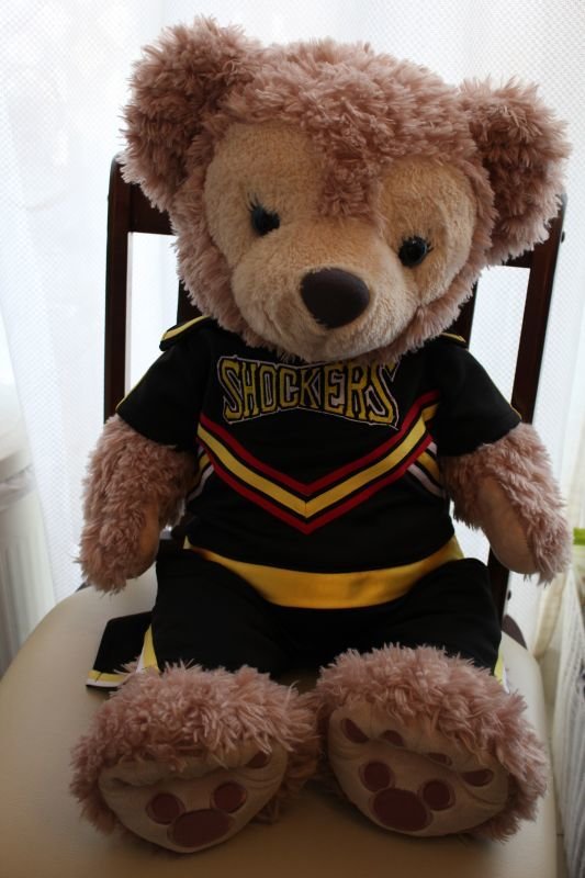 画像8: チア(USA・ダンス） (8)