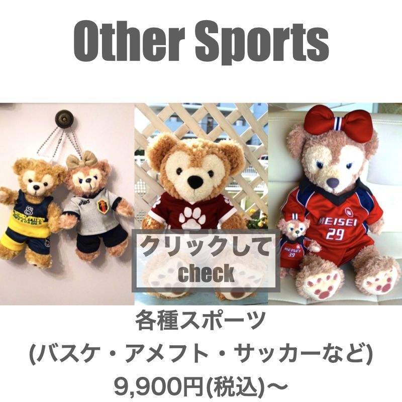各種スポーツ